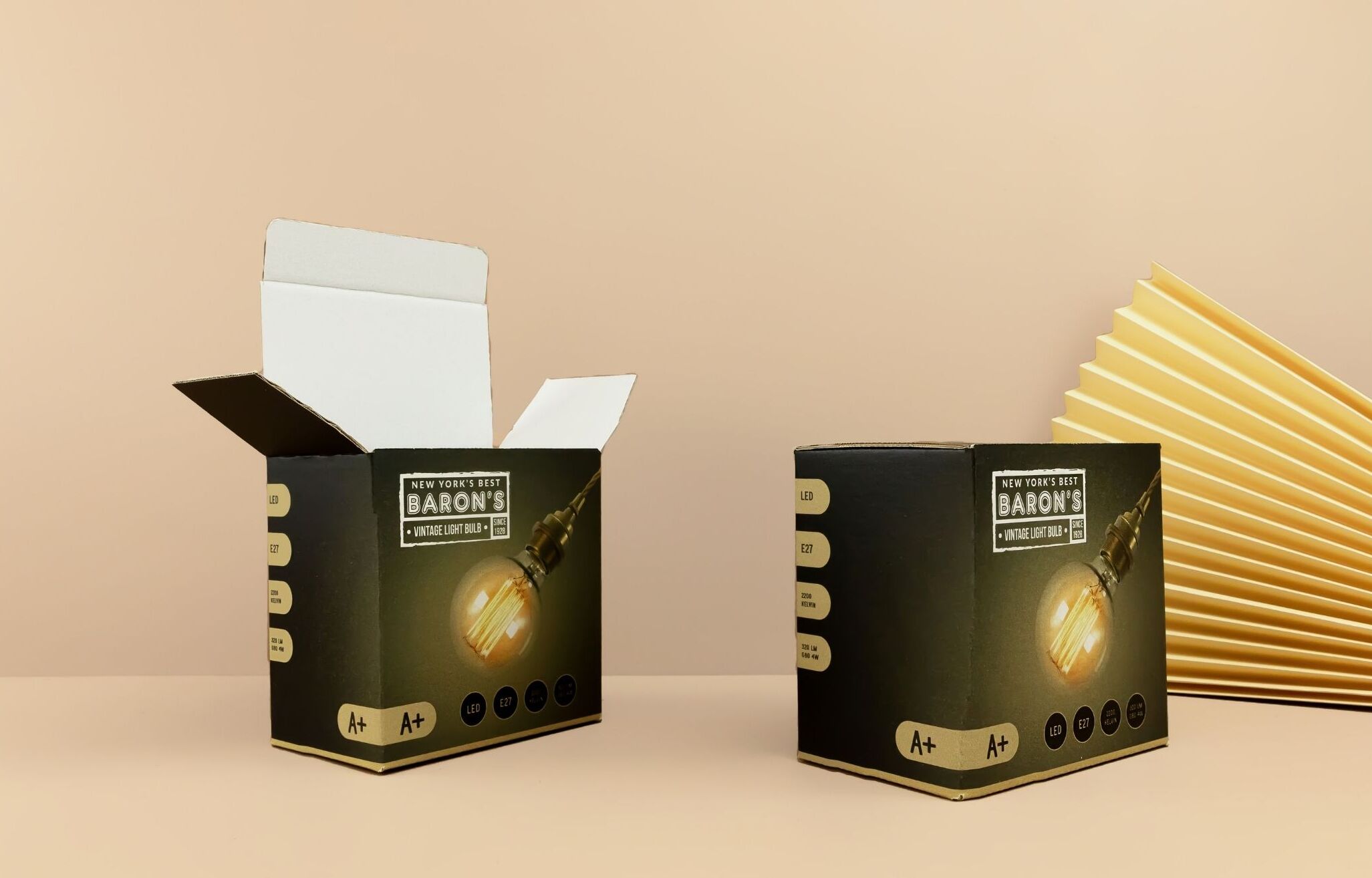 Faltschachteln aus Wellpappe mit Steckboden Faltschachteln aus Wellpappe mit Steckboden